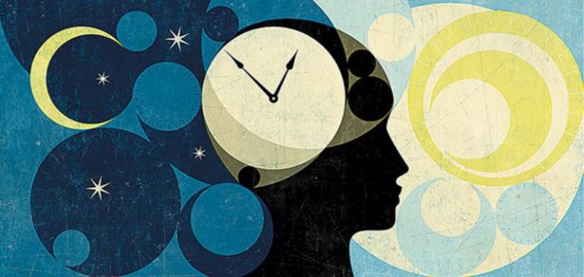Sirkadiyen Ritim Nedir? Ve Neden Bir Sınav Öğrencisi İçin Bu Kadar Önemlidir?